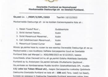 Puntland Constitutional Court