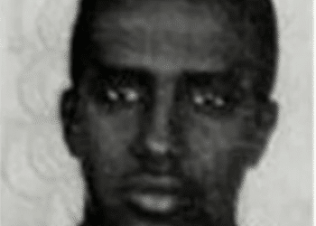 Turkey-Somalia diplomatic relations Mohamed Hasan Sheikh