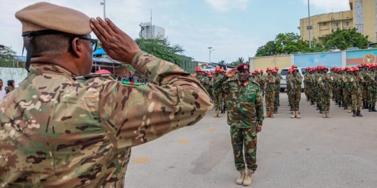 Villa Somalia security