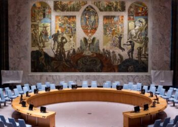 Reactions Somalia Arms Embargo Lift