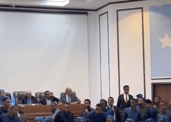 Controversial Somalia Constitutional Amendments
