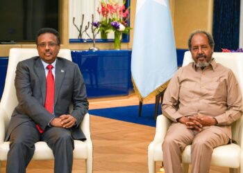 Farmaajo, after meeting Redwan Hussein