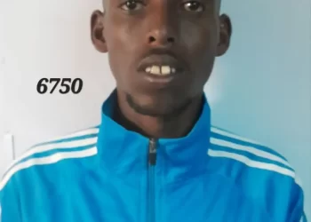 Al-Shabab infiltration