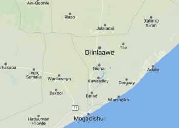Diinlaawe Macawisley