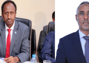 Somalia Foreign and Security Leadership