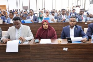 Somalia constitutional amendments
