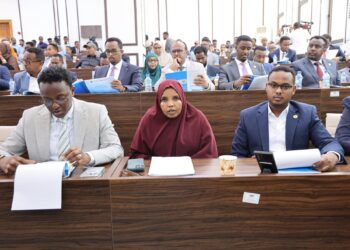 Somalia constitutional amendments