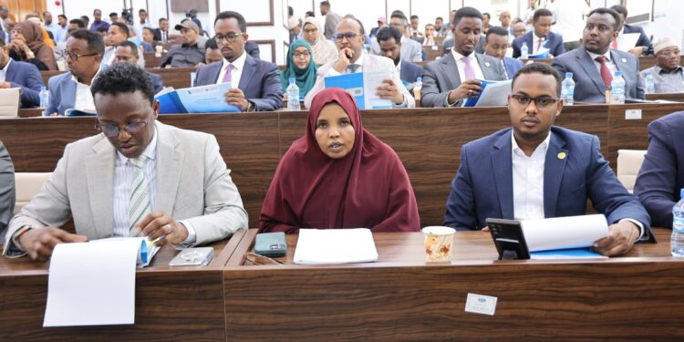 Somalia constitutional amendments