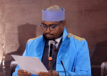 Sayid Ali Moalim Daud verdict Lul Abdiaziz