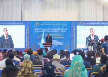 Somali Prime Minister Hamza Abdi Barre, whose government drafted the new penal code now before parliament