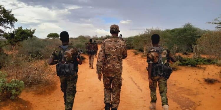 SNA and Macawisley Darul Nim'a Somalia