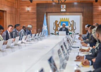 Somalia cabinet reshuffle hardline on Puntland and Ethiopia