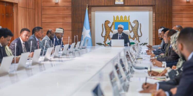 Somalia cabinet reshuffle hardline on Puntland and Ethiopia