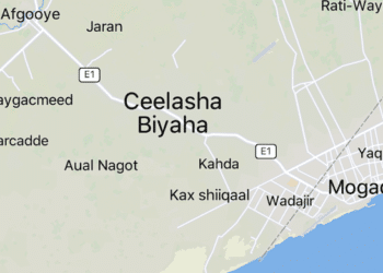 Elasha Biyaha Hormuud BECO attack Somalia