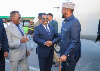 President Hassan Sheikh NCC Somalia