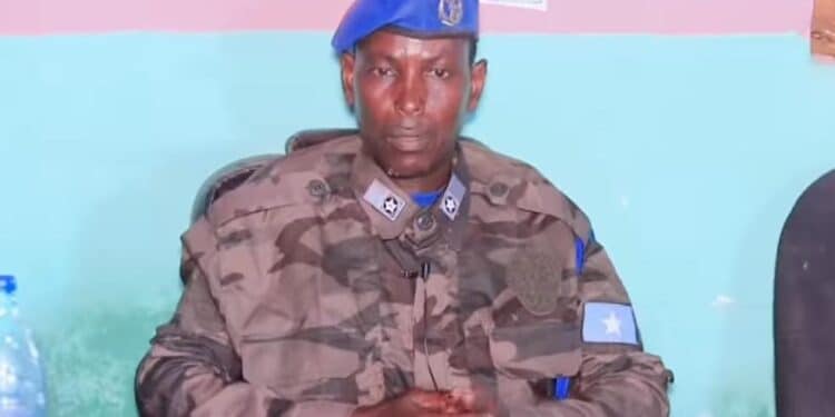 Aloyow Borow Bardaale Southwest State Somalia