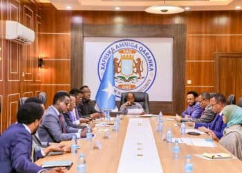 AML-CFT Al-Shabab Islamic State Somalia Tax