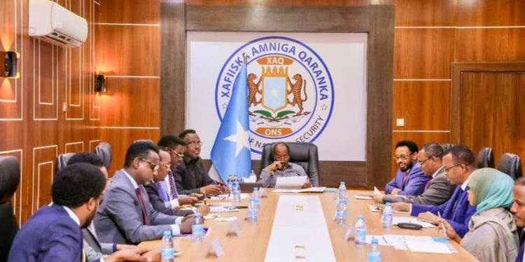 AML-CFT Al-Shabab Islamic State Somalia Tax