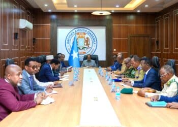 NSC Somalia arms proliferation