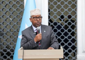 Somalia Foreign Minister on Ethiopia arms