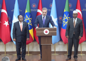 Somalia and Ethiopia in Turkiye