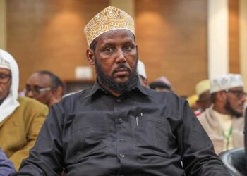 Former Al-Shabab member now minister in Somalia