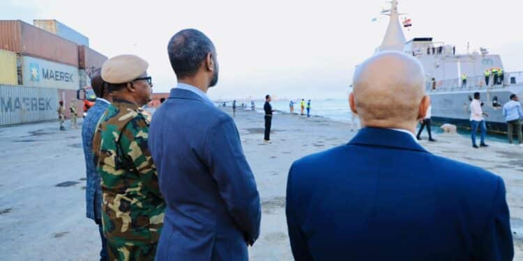 Cargo ship off Somalia as Mogadishu joins the Red Sea coalition guarding the Bab el-Mandeb and Gulf of Aden