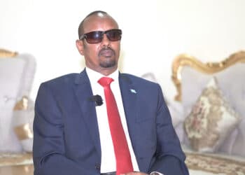 Southwest State Somalia MP arrested by NISA
