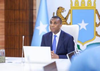 FGS Jubaland Somalia Criminalisation
