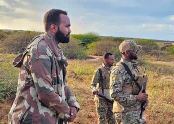 Arab Dheeg Jubaland Somalia Danab