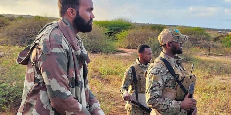 Arab Dheeg Jubaland Somalia Danab