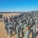 Hilaac campaign Puntland Somalia