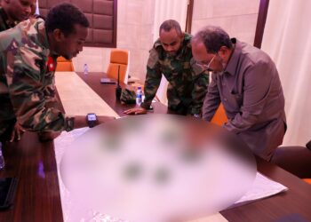 Somali forces in the war against al-Shabaab, the backdrop to US drone strikes facing civilian-casualty claims