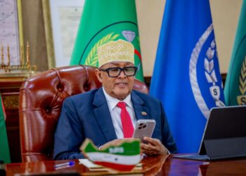 Somaliland President Speaking With PM of Israel