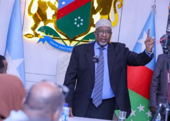 Villa Somalia’s Southwest Takeover Follows a Familiar Script