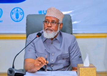 Madobe Jubaland Somalia federalism Puntland