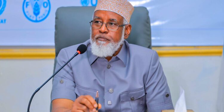 Madobe Jubaland Somalia federalism Puntland