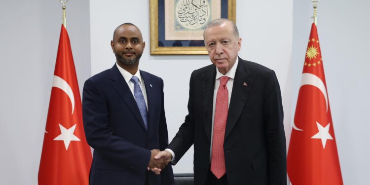 President Erdogan receives Abdulkadir Mohamed Nur at his office in Ankara in June 2025