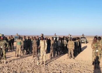 Fighters of the Calmiskaad Defence Forces drawn up with technicals on open ground in Puntland after leaving Carmo for Xumbays