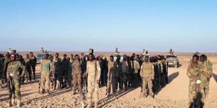 Fighters of the Calmiskaad Defence Forces drawn up with technicals on open ground in Puntland after leaving Carmo for Xumbays