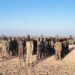Fighters of the Calmiskaad Defence Forces drawn up with technicals on open ground in Puntland after leaving Carmo for Xumbays