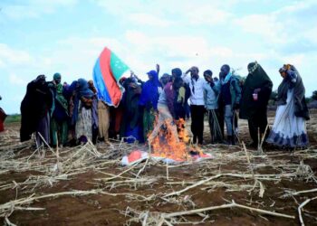 Protesters in Southwest State burn the Turkish flag over airstrikes near Baidoa