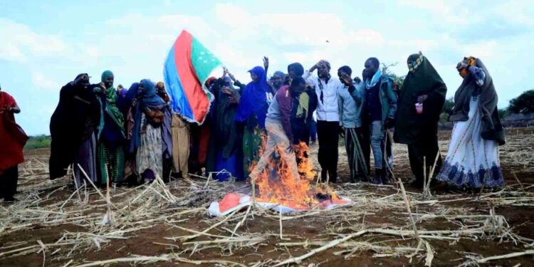 Protesters in Southwest State burn the Turkish flag over airstrikes near Baidoa