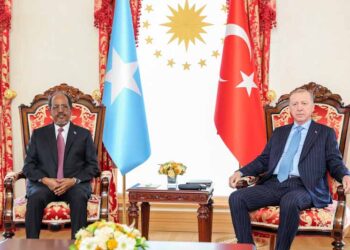 President Hassan Sheikh Mohamud with the president of Turkiye during talks in Ankara