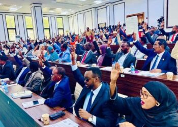 Members of the House of the People vote in the chamber at Villa Hargeisa, where the Defence Committee has summoned the defence minister and the army commander