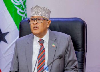 President Irro speaking before the Somaliland flag, days before offering up to two thousand soldiers to the American led stabilisation force in Gaza