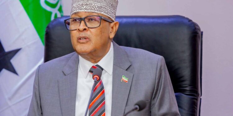 President Irro speaking before the Somaliland flag, days before offering up to two thousand soldiers to the American led stabilisation force in Gaza
