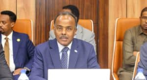 Somalia's state minister for foreign affairs, who says the Ankara Declaration now governs relations with Ethiopia