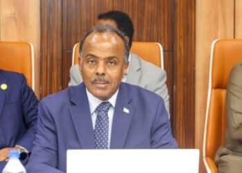 Somalia's state minister for foreign affairs, who says the Ankara Declaration now governs relations with Ethiopia