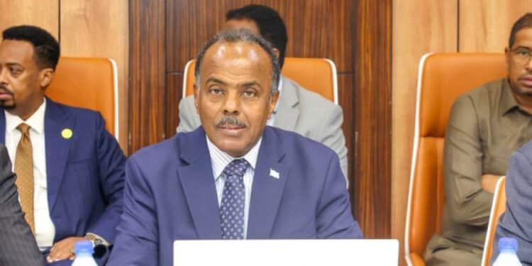Somalia's state minister for foreign affairs, who says the Ankara Declaration now governs relations with Ethiopia